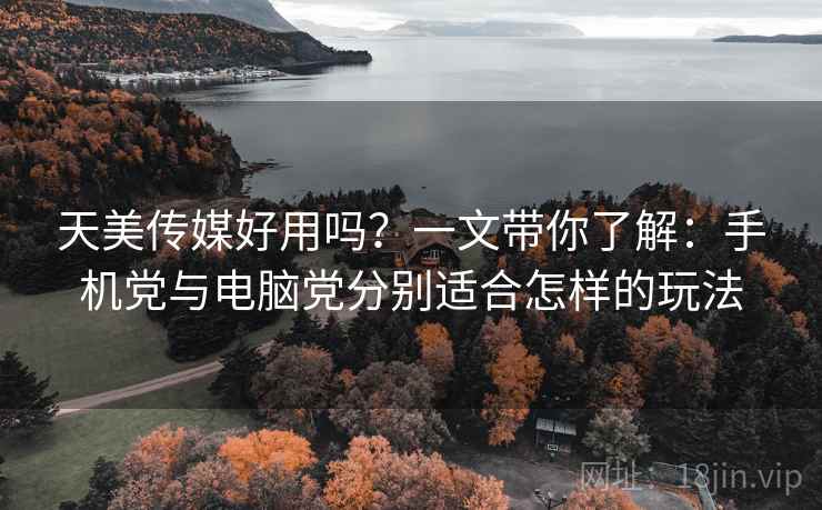 天美传媒好用吗?一文带你了解:手机党与电脑党分别适合怎样的玩法 天美传媒好用吗?一文带你了解:手机党与电脑党分别适合怎样的玩法