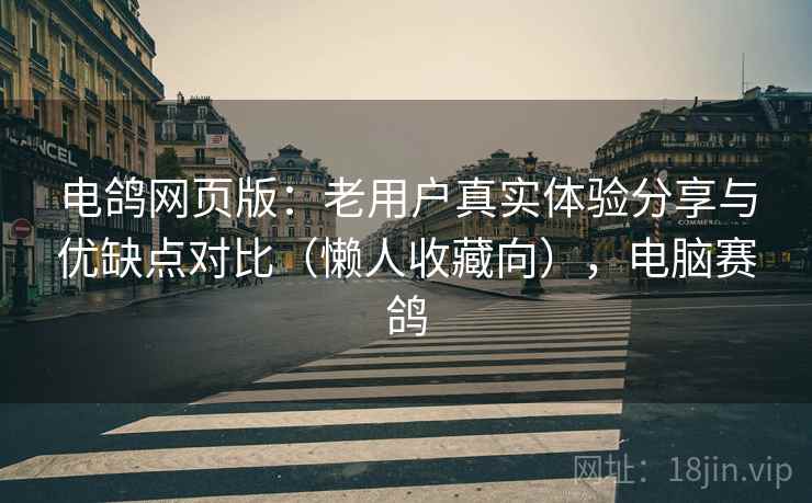 电鸽网页版:老用户真实体验分享与优缺点对比(懒人收藏向),电脑赛鸽 电鸽网页版:老用户真实体验分享与优缺点对比(懒人收藏向),电脑赛鸽