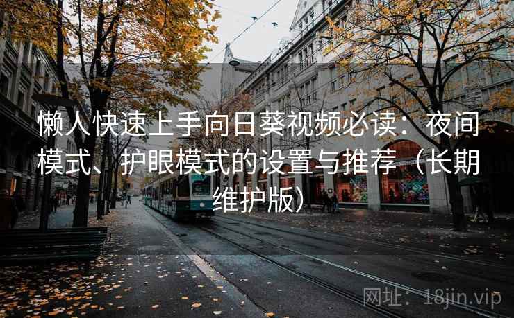 懒人快速上手向日葵视频必读：夜间模式、护眼模式的设置与推荐（长期维护版）