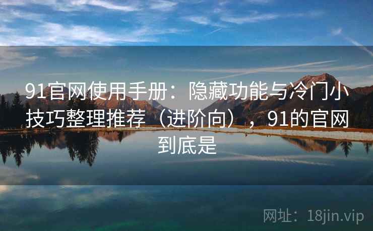91官网使用手册：隐藏功能与冷门小技巧整理推荐（进阶向），91的官网到底是