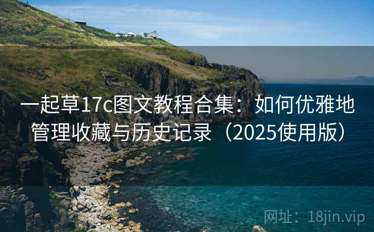 一起草17c图文教程合集：如何优雅地管理收藏与历史记录（2025使用版）