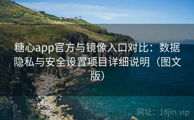 糖心app官方与镜像入口对比：数据隐私与安全设置项目详细说明（图文版）