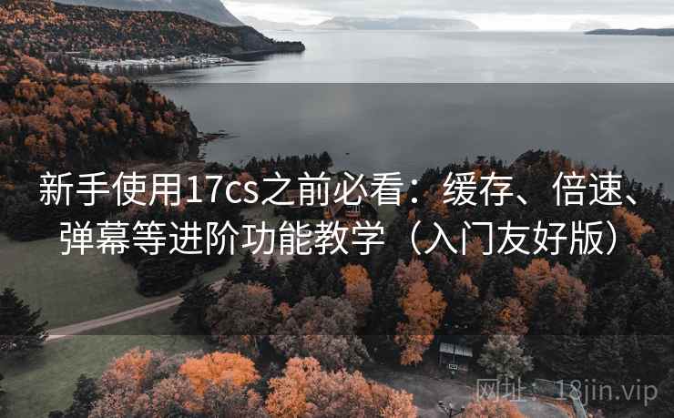 新手使用17cs之前必看：缓存、倍速、弹幕等进阶功能教学（入门友好版）