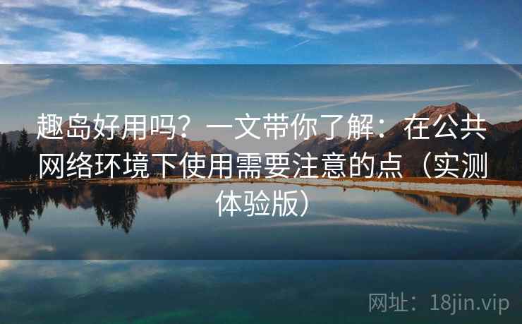 趣岛好用吗？一文带你了解：在公共网络环境下使用需要注意的点（实测体验版）