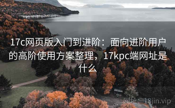 17c网页版入门到进阶：面向进阶用户的高阶使用方案整理，17kpc端网址是什么