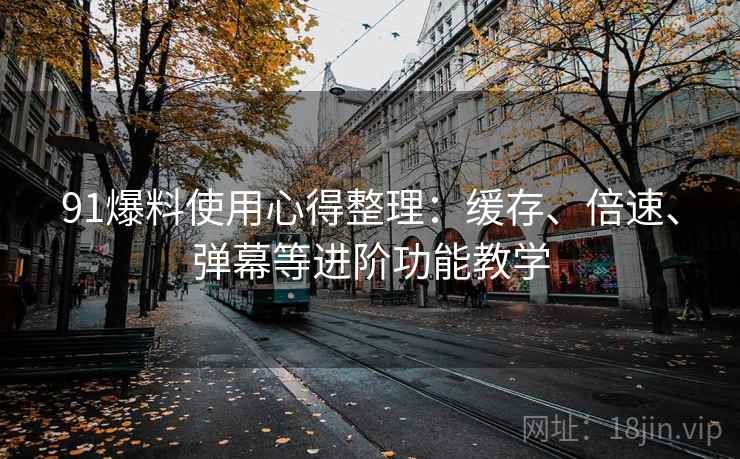 91爆料使用心得整理：缓存、倍速、弹幕等进阶功能教学