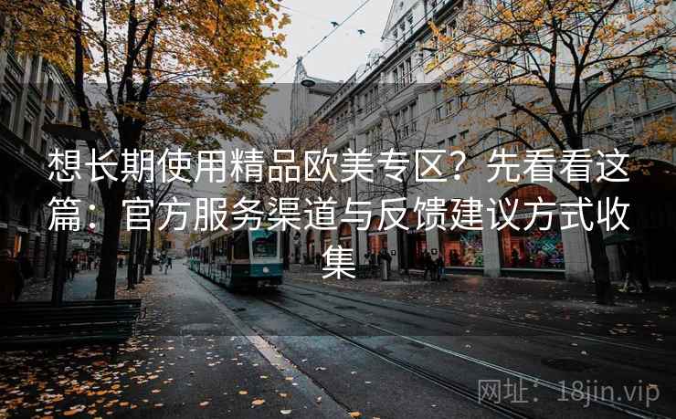 想长期使用精品欧美专区？先看看这篇：官方服务渠道与反馈建议方式收集