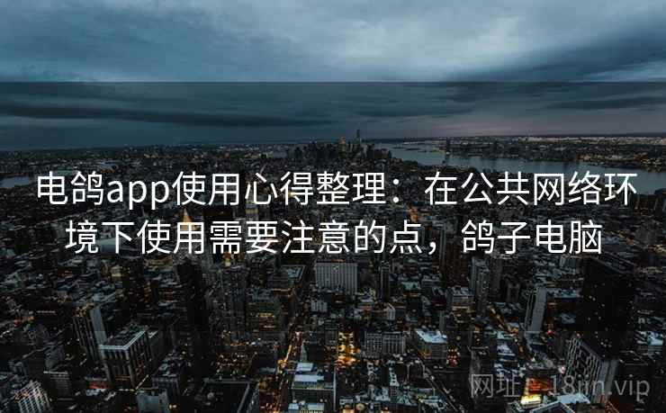 电鸽app使用心得整理：在公共网络环境下使用需要注意的点，鸽子电脑