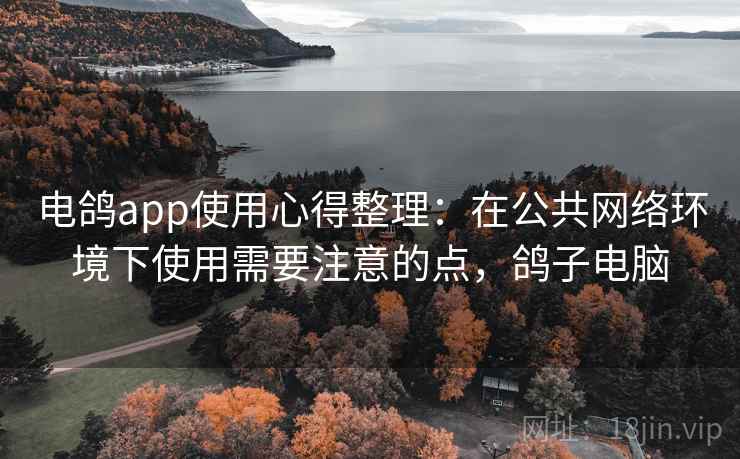 电鸽app使用心得整理：在公共网络环境下使用需要注意的点，鸽子电脑