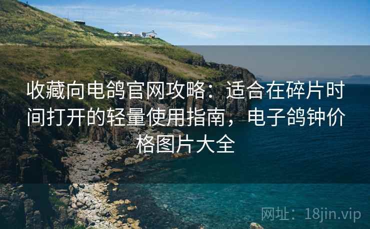 收藏向电鸽官网攻略：适合在碎片时间打开的轻量使用指南，电子鸽钟价格图片大全