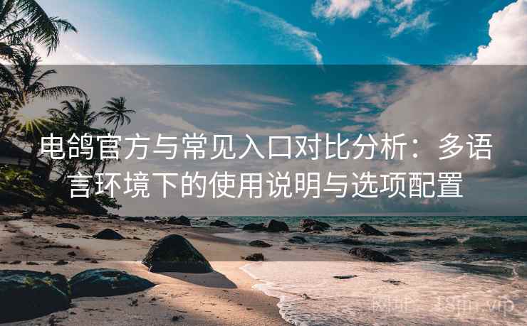 电鸽官方与常见入口对比分析：多语言环境下的使用说明与选项配置