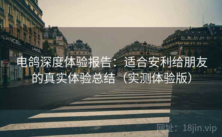 电鸽深度体验报告：适合安利给朋友的真实体验总结（实测体验版）