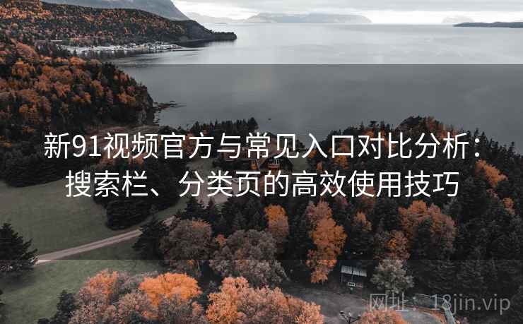 新91视频官方与常见入口对比分析：搜索栏、分类页的高效使用技巧