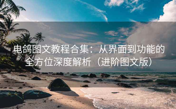 电鸽图文教程合集：从界面到功能的全方位深度解析（进阶图文版）