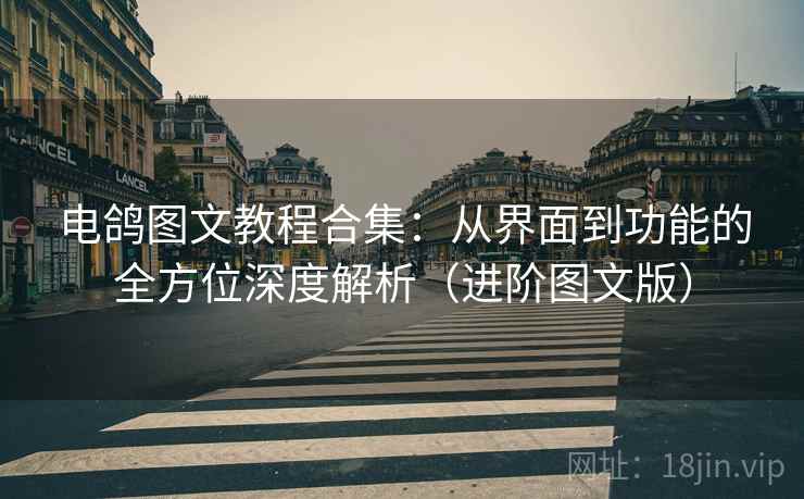 电鸽图文教程合集：从界面到功能的全方位深度解析（进阶图文版）