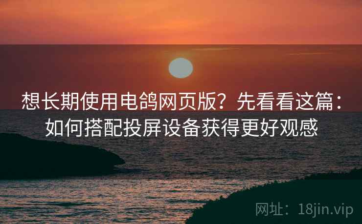 想长期使用电鸽网页版？先看看这篇：如何搭配投屏设备获得更好观感